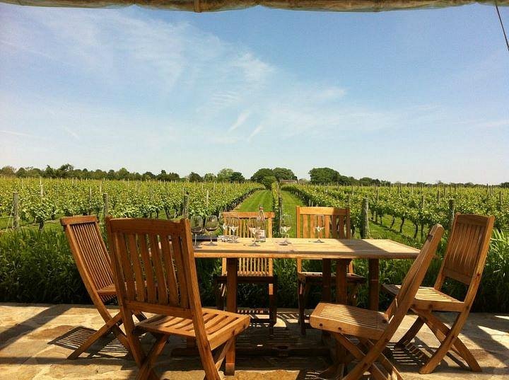 wolffer estate Best Wineries To Visit In The U.S. In Summer
