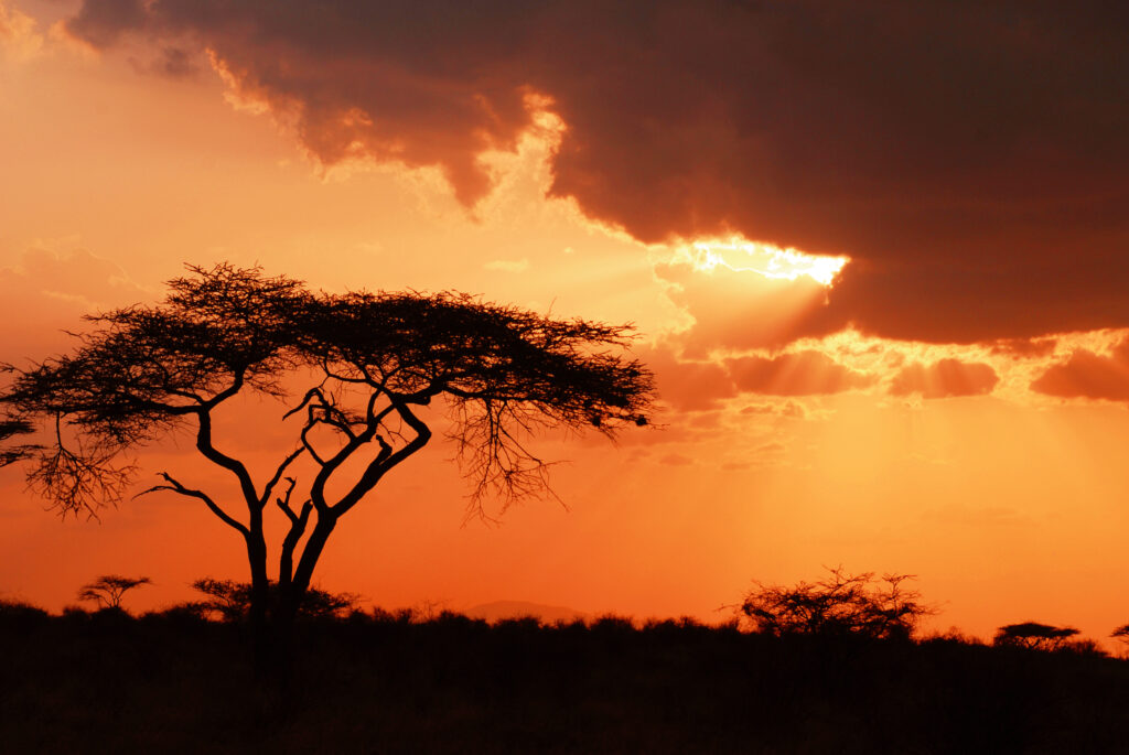 Before Traveling To Africa: What to Know