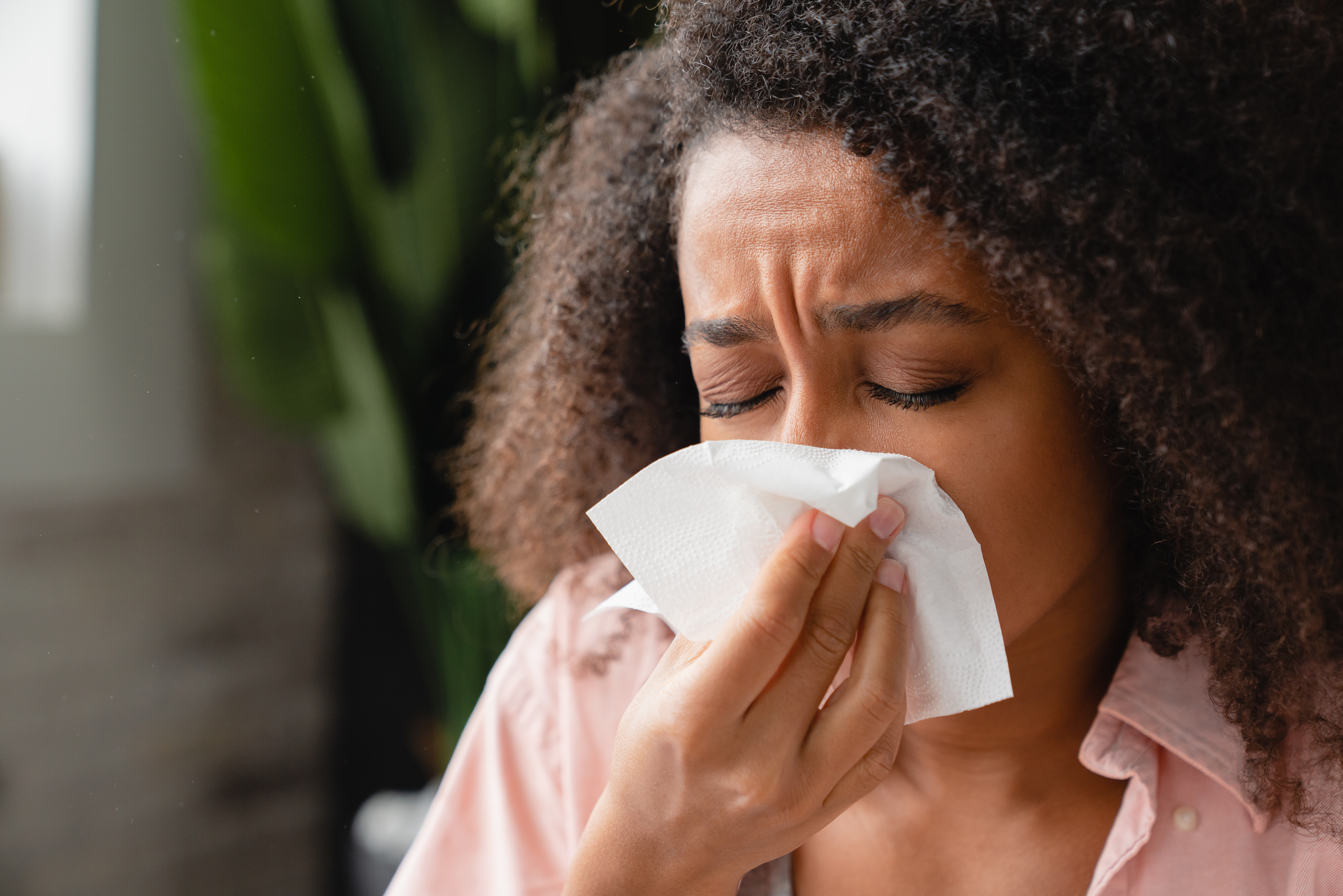 sneezing coughing ill woman using paper napkin ha 2022 01 21 19 26 30 utc