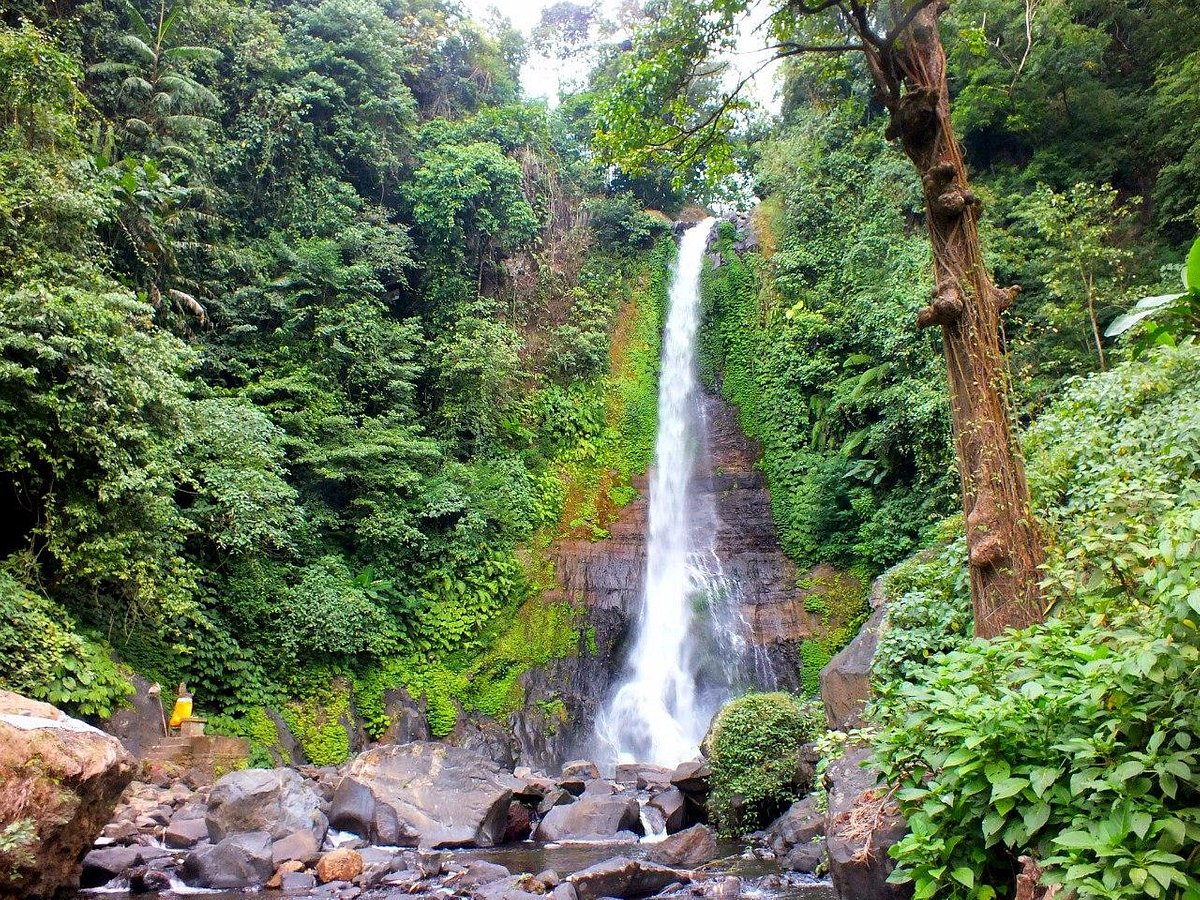 Gitgit Falls. Panoramic Paradises: 20 Amazing Views in Bali