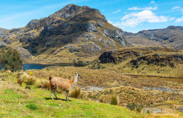 Why The Beautiful Country Of Ecuador Should Be On Your Bucketlist In 2025