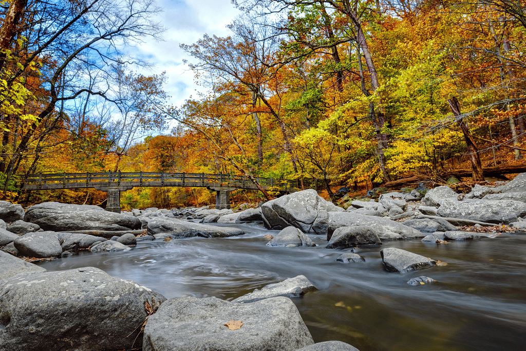 8 Of The Best Places To See The Fall Colors In Washington D.C.