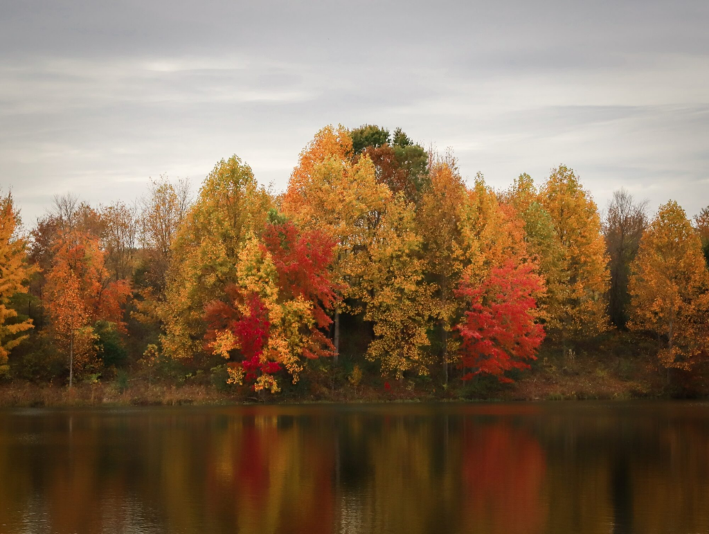 8 Of The Best Places To See The Fall Colors In Washington D.C.