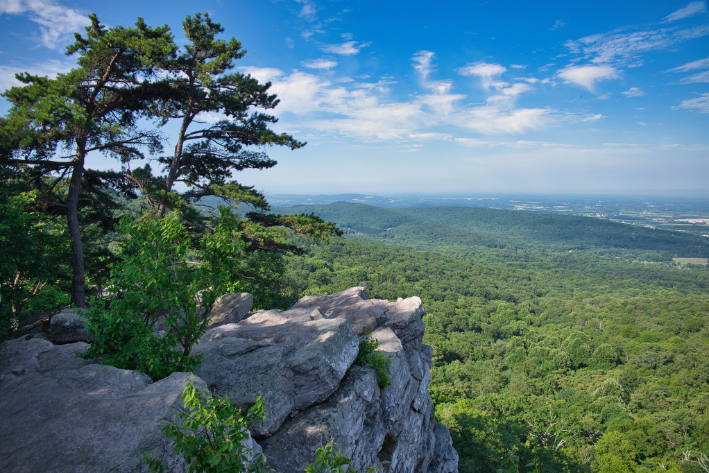 8 Of The Best Places To See The Fall Colors In Washington D.C.