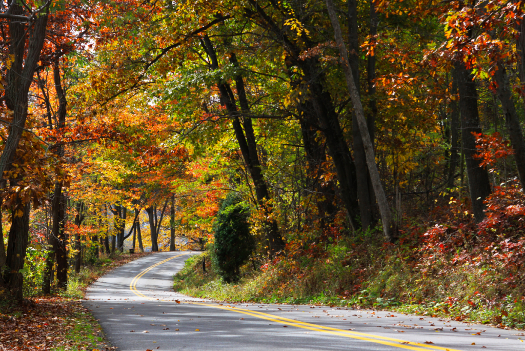 8 Of The Best Places To See The Fall Colors In Washington D.C.